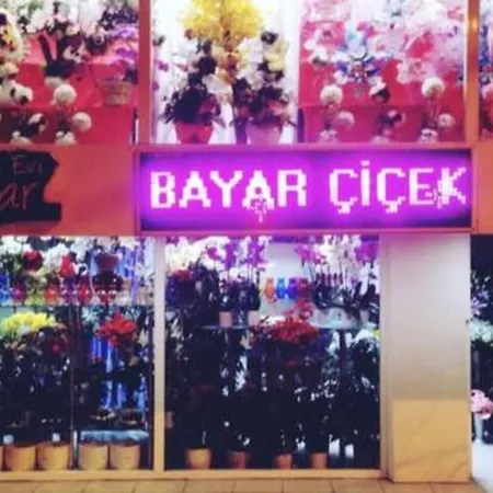 Kozyatagi, Kadikoy & Shared & Private Double Bedroom & Bathroom, Kitchen Shared Homestay